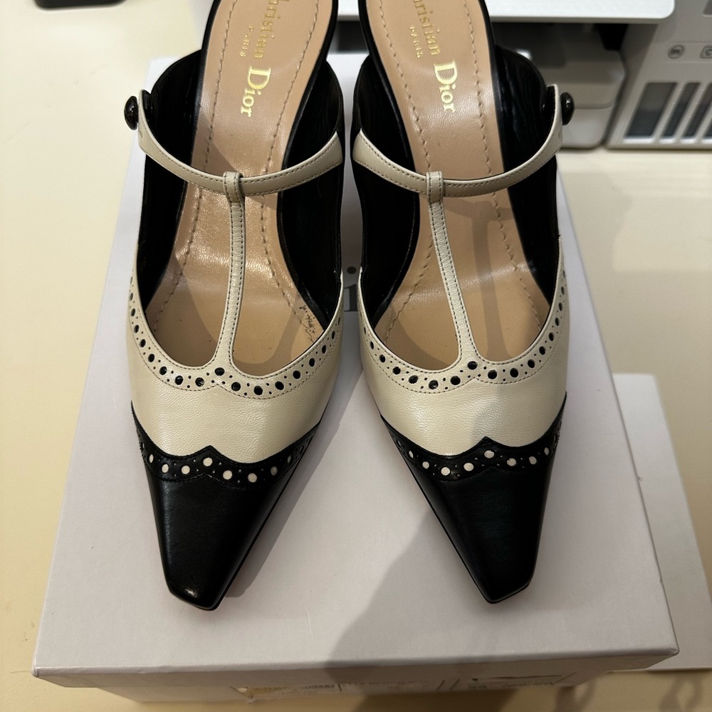Christian Dior Spectadior